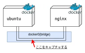 ネットワーク略図
